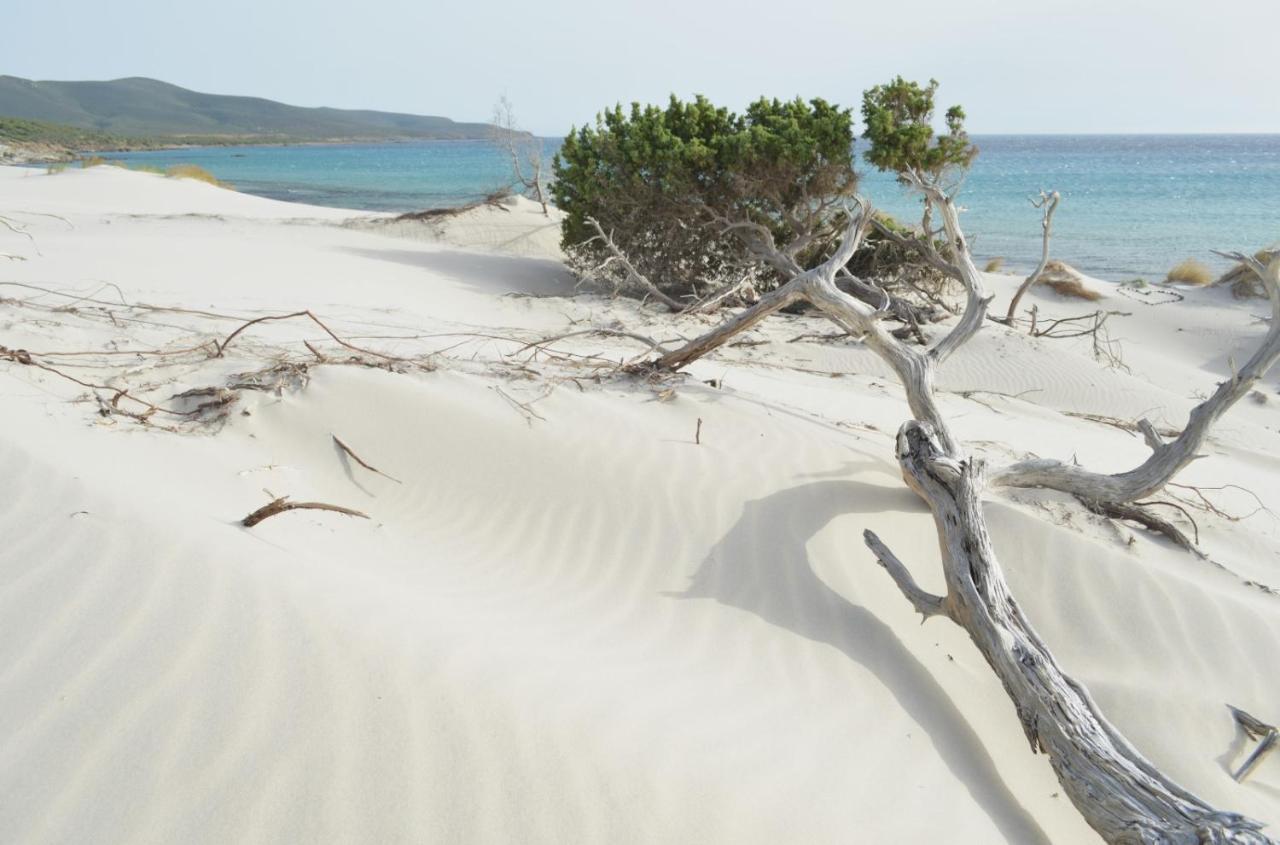 B&B Ajo' A Mulinu Teulada Εξωτερικό φωτογραφία